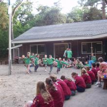 Dansende welpen in het voorprogramma