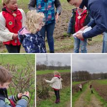 De speurtocht, opzoek naar Stuiter