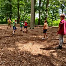 Handbal in het bos