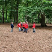 In het bos spelen