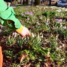 Tijdens een mooie bijna-lente-loop is er ook aandacht voor de opkomende bloemetjes.