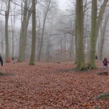 De mist gaf het bos een spannende sfeer