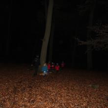 Spannende wandeling in het donkere bos
