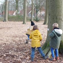 Op zoek naar alle verschillende dieren